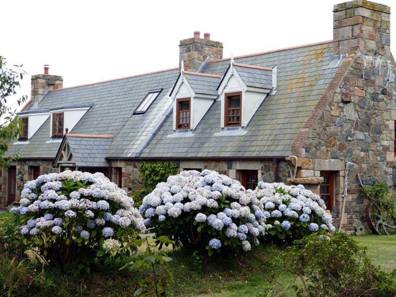 Buying Rental Properties – Some Tips
