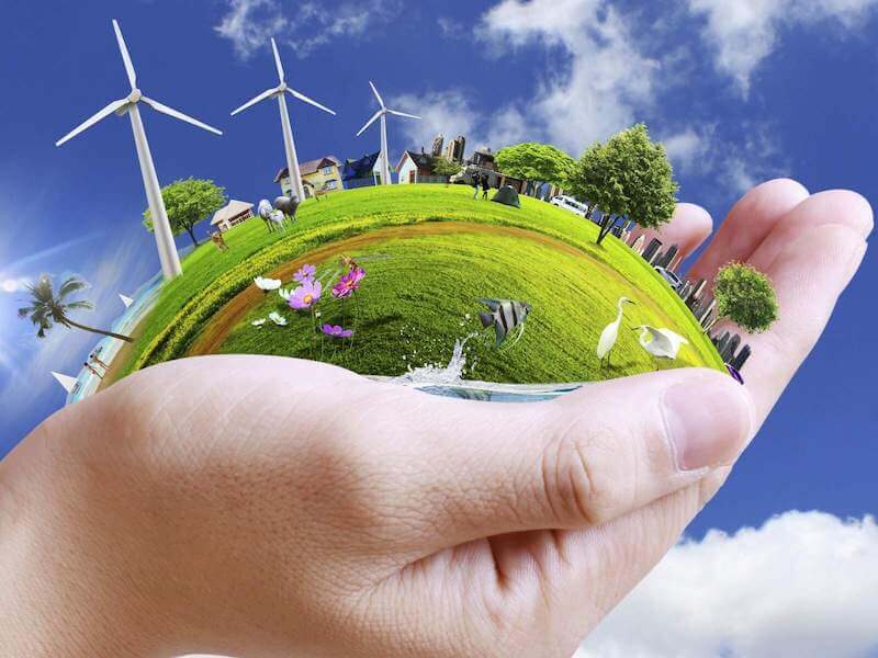 Everything You Need to Know About Environmental Sustainability
